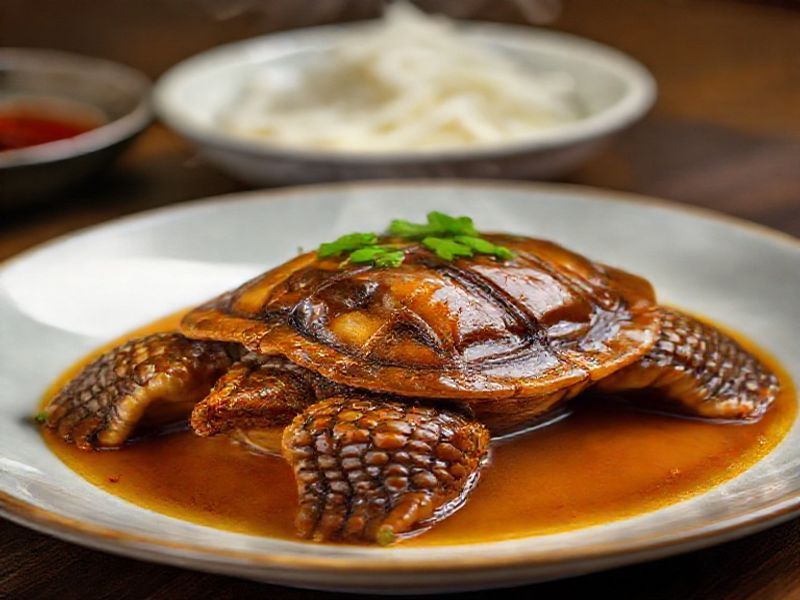 Braised Soft-shelled Turtle: The Spicy Hunan Cuisin Dish and the Secret Recipe Revealed