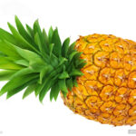 【20251207】The Ultimate Guide to Hakka Stuffed Tofu (Yong Tau Foo): A Symphony of Flavor and Tradition