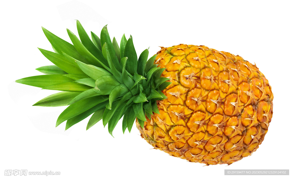 Pineapple Bun with Butter